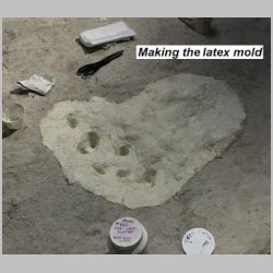 IMG_6916-cr-lab.jpg