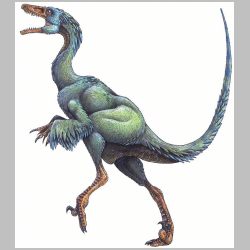 troodon.gif